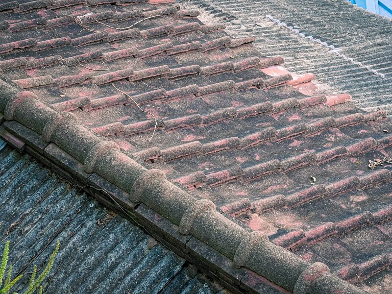 Debris on roof shingles