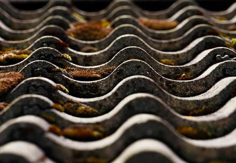 cleaning roof from moss