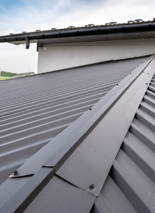 Metal Roofing in Lakeland