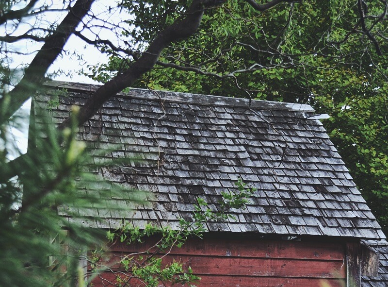 Worn shingles