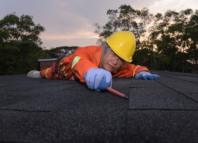 Assessing shingle roofs