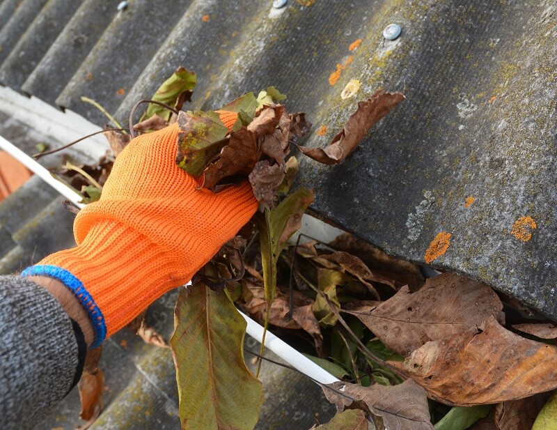 Clean gutters and downspouts