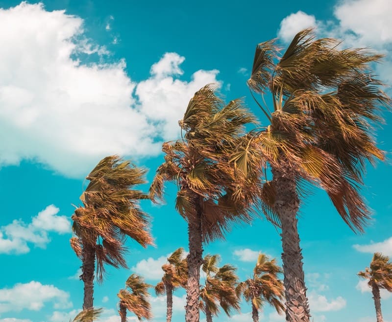 tile roofs endure wind