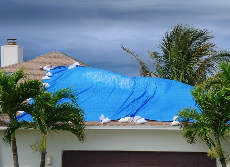 Wind and tree damage for roofs