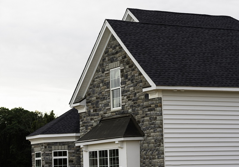 Dark roof color