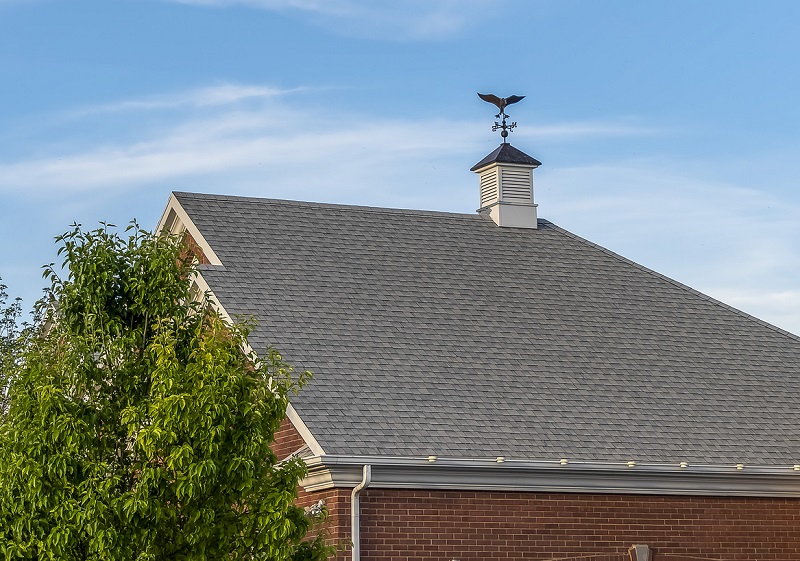 Cupola roof vent