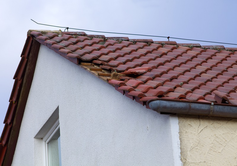 Missing shingles after hurricane damage