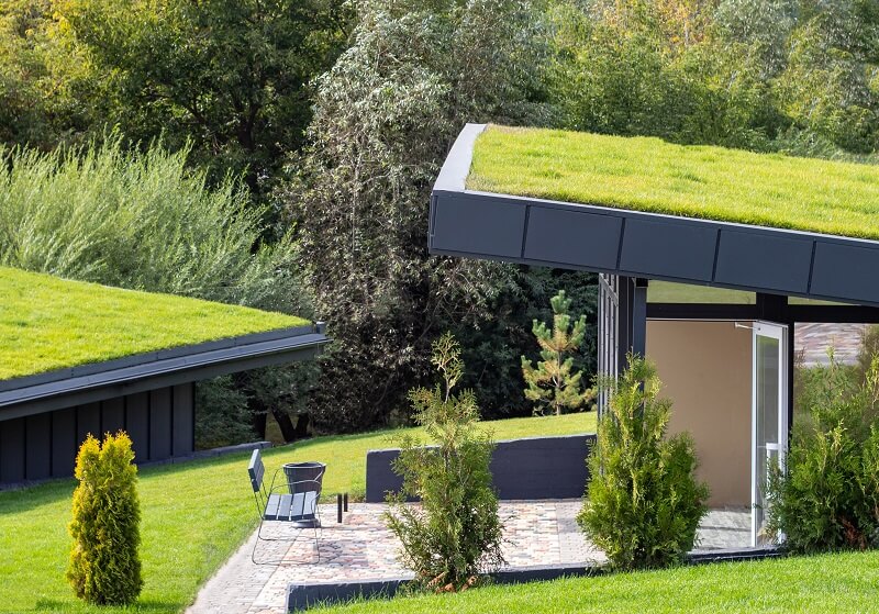 Green and ecofriendly roof trends