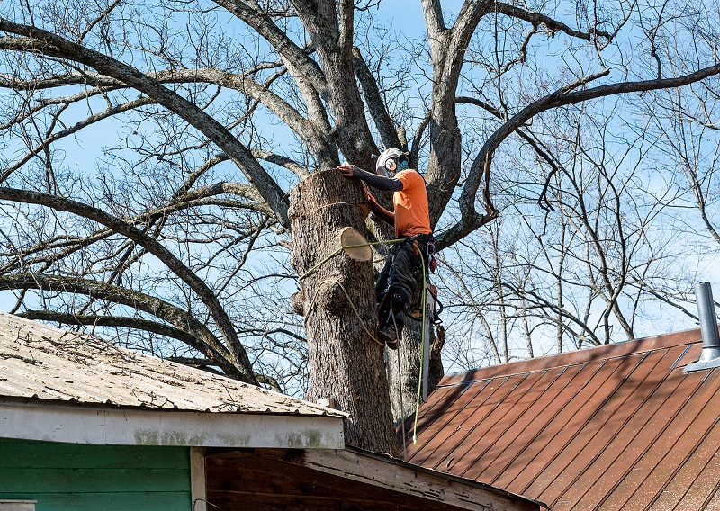 minimize the potential roof accidents