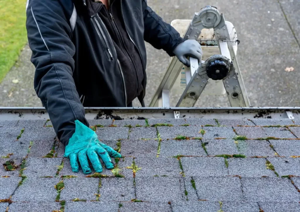 a man cleaning moss on roof