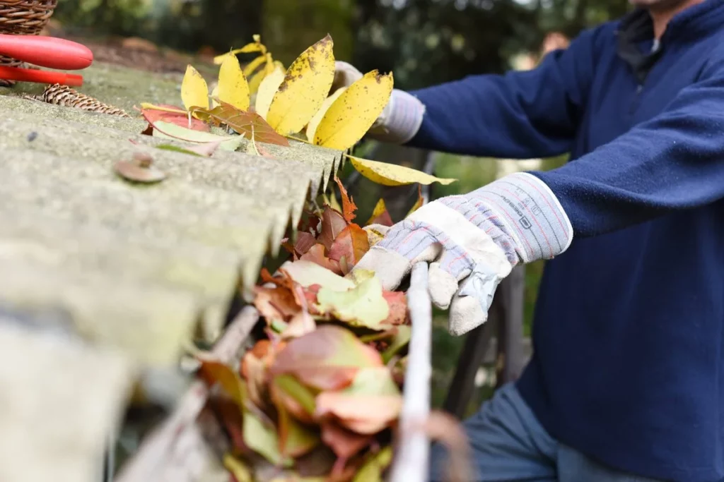 Cleaning leaves from gutters by a professional in Lakeland