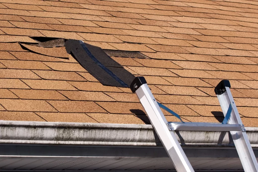 5 Signs That Your Roof Is Missing Shingles | Stronghold Roofing & Solar