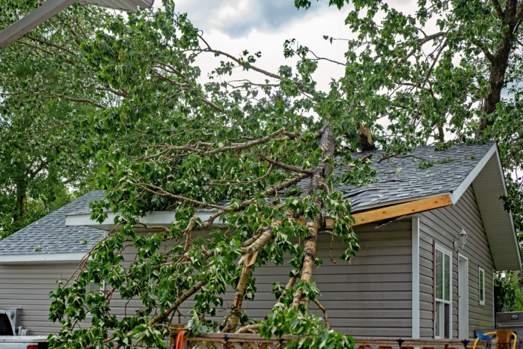 Storm-ravaged roof