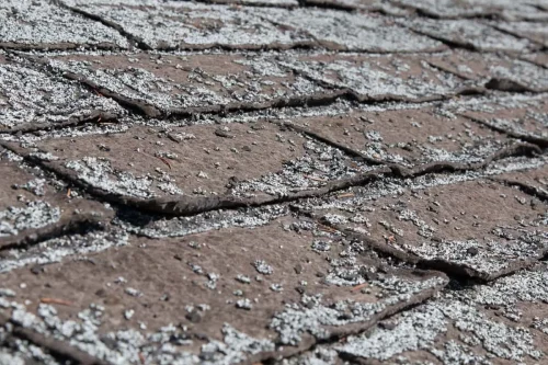Granules on an old asphalt shingle roof lost over time.